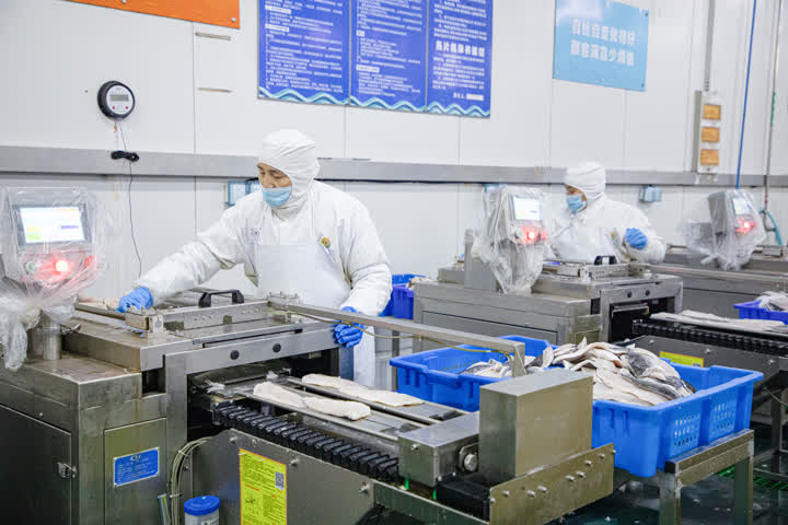 開辟綠色生命通道，海安中洋集團200噸水產食品馳援上海保供穩鏈