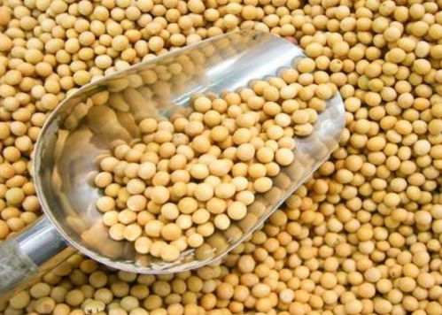 寧波進口食品排行榜揭曉 水產品榮登榜首，吃貨最愛一覽